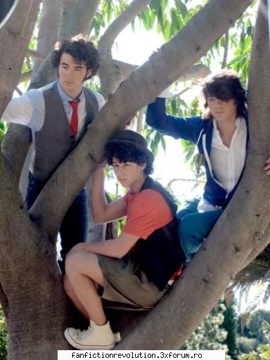 Poze cu cei trei frati!! - ingerulbun - jonas Brothers